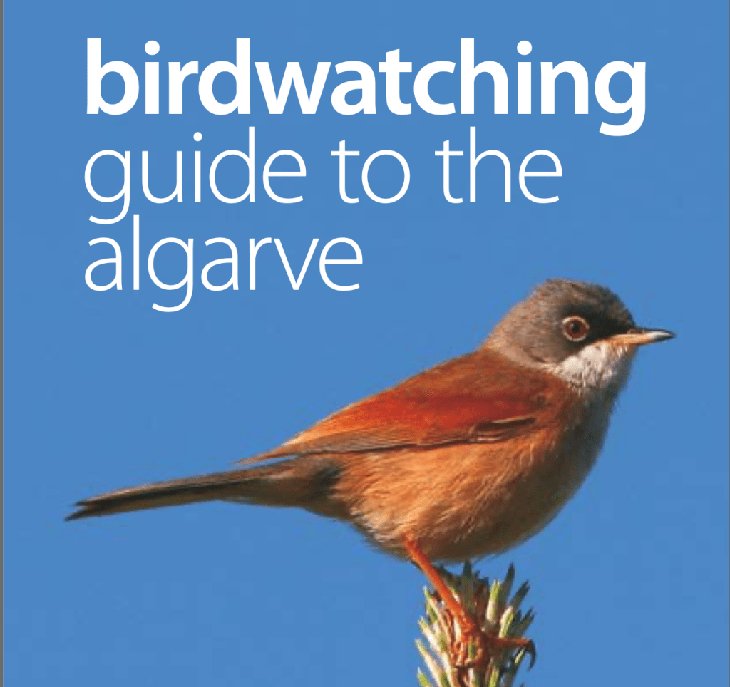 Birdwatching guide to the&nbsp;Algarve